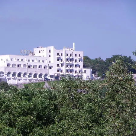 爱情魔咒酒店 奥斯图尼